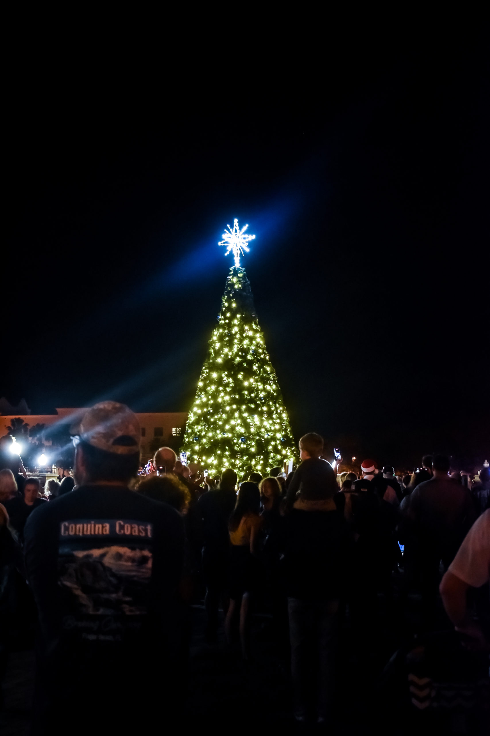 A tall Christmas tree adorned with lights and a glowing star topper is surrounded by a festive crowd at night in Palm Coast. Some people are taking photos and others are looking up at the tree. The scene exudes holiday cheer and community celebration, a joyful moment in Flagler County.