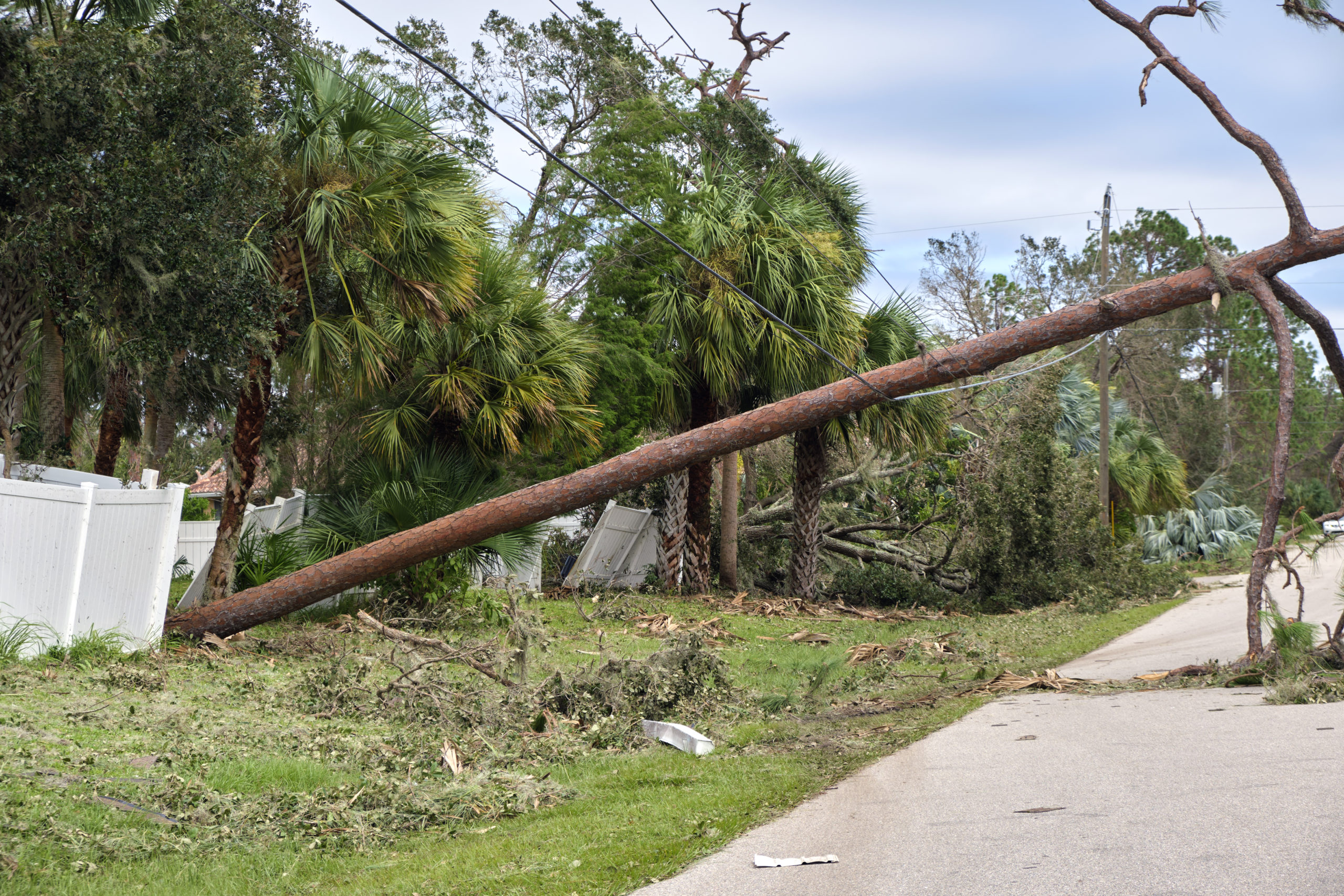 Emergency Management Director Jonathan Lord speaks today before the 