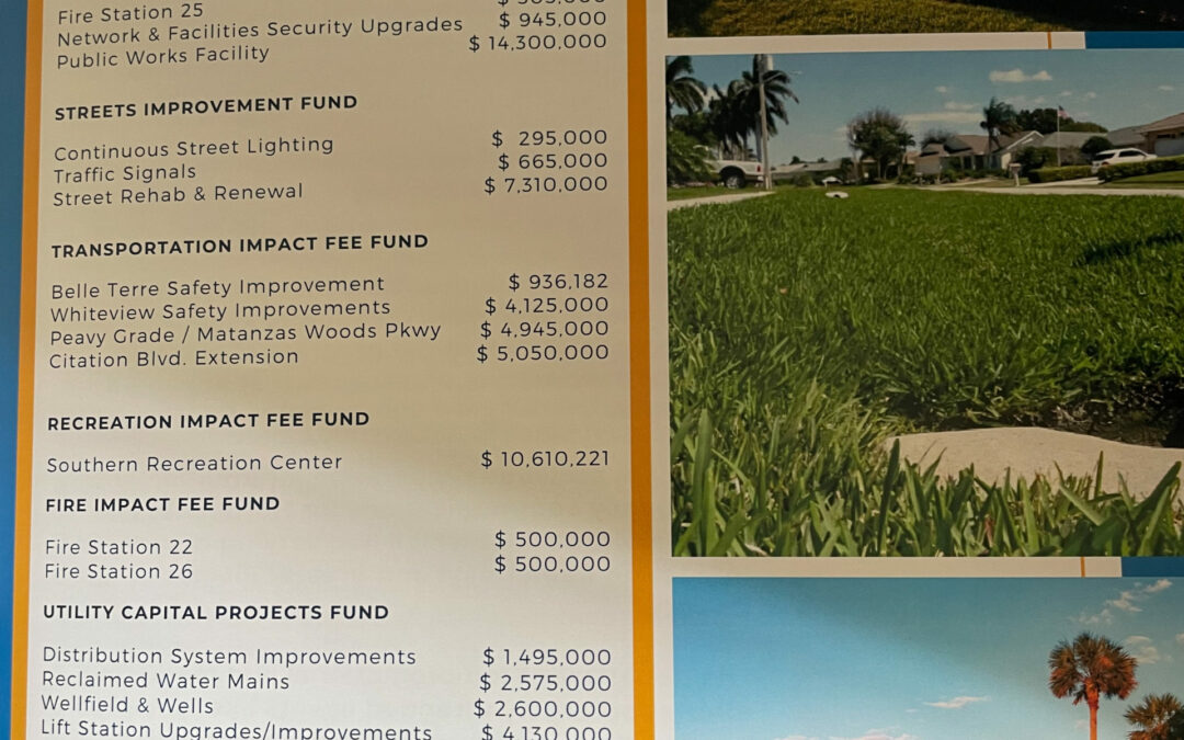 Annual Report for the City of Palm Coast