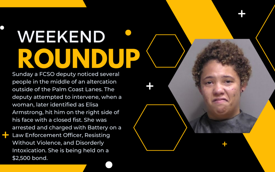 FCSO Weekend Summary of Activity.