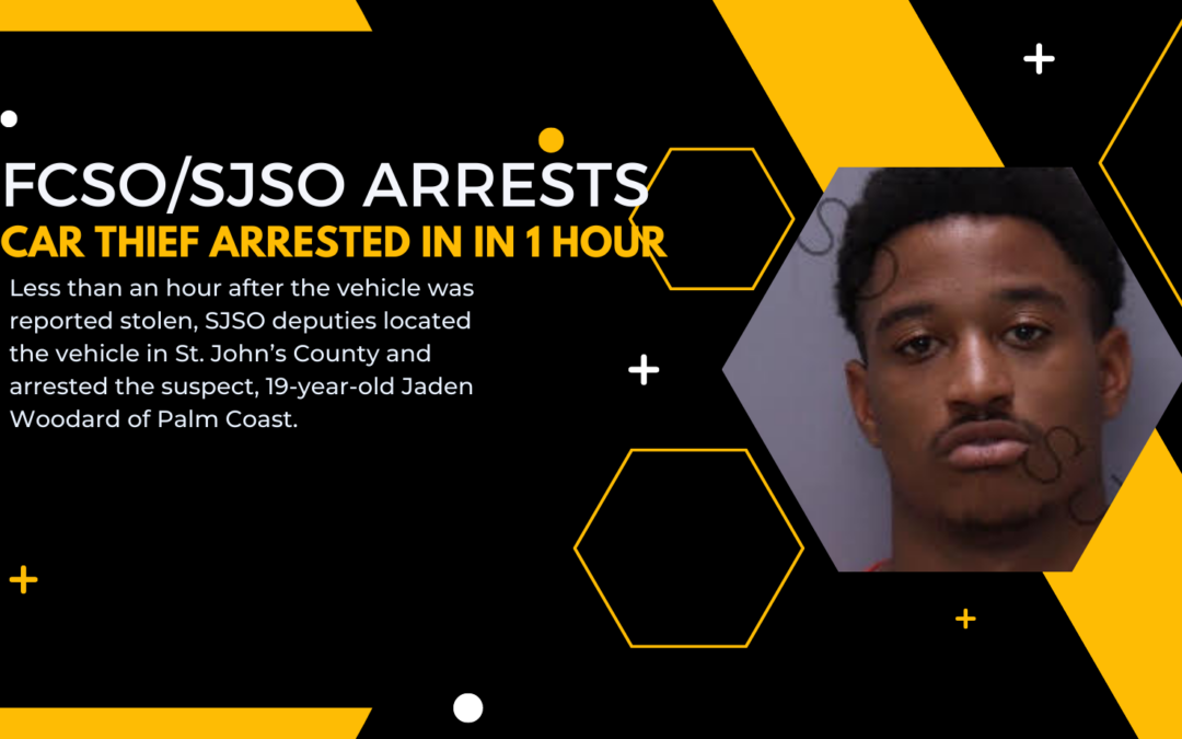 FCSO and SJSO Coordinate to Arrest Car Thief Within 1 Hour
