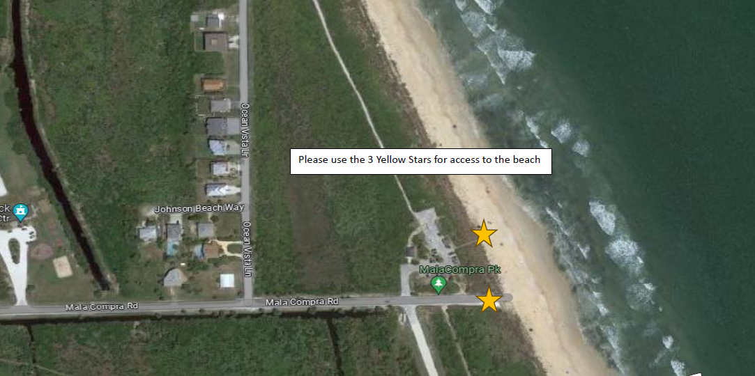 Flagler County urges nighttime beachgoers to use MalaCompra Road access or north parking lot during turtle-hatching season