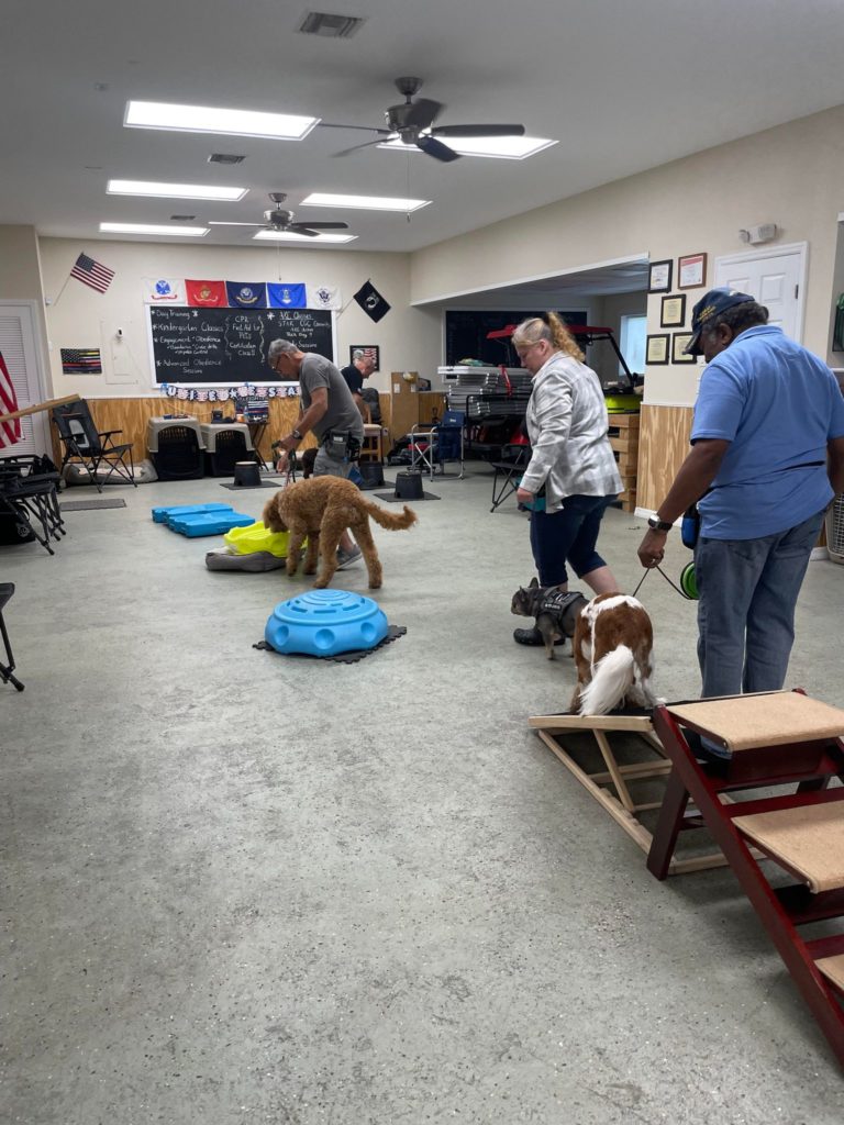 Group training for Veterans and their dogs
