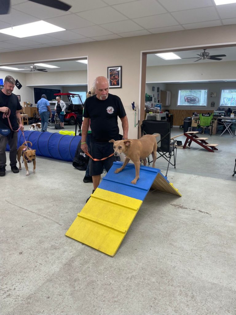 Vets and their dogs training