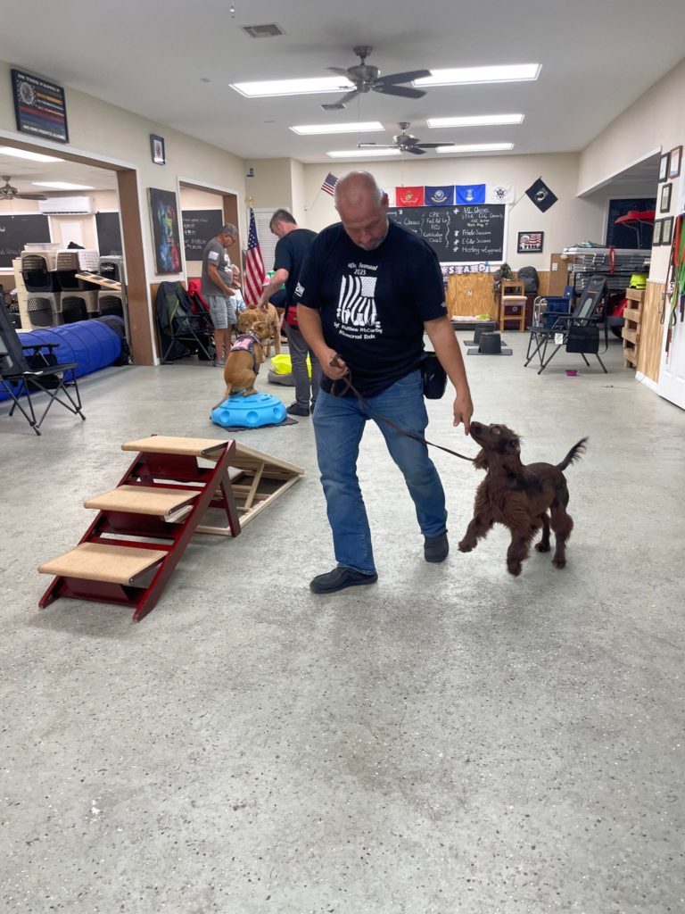 Vets training their service dogs Vets training their service dogs