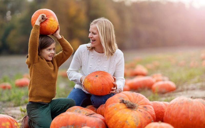 Spooky Spectacular: A List of Fall Festival and Trick or Treat Events