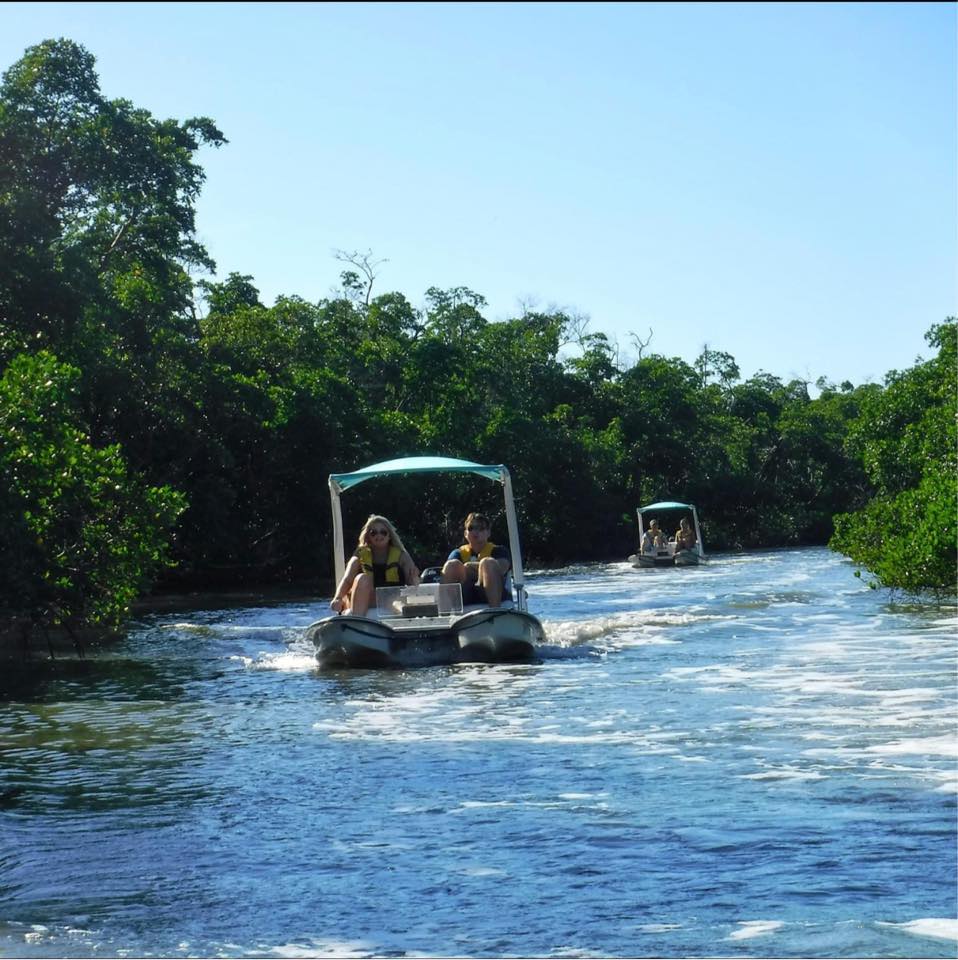 backwater cat adventure palm caost backwater cat adventure palm caost