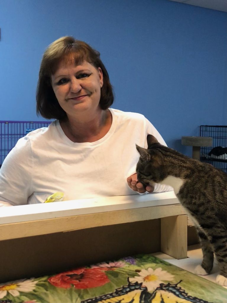 Community Cats Director Jessica Lynne Myers Named November Positive Person of the Month