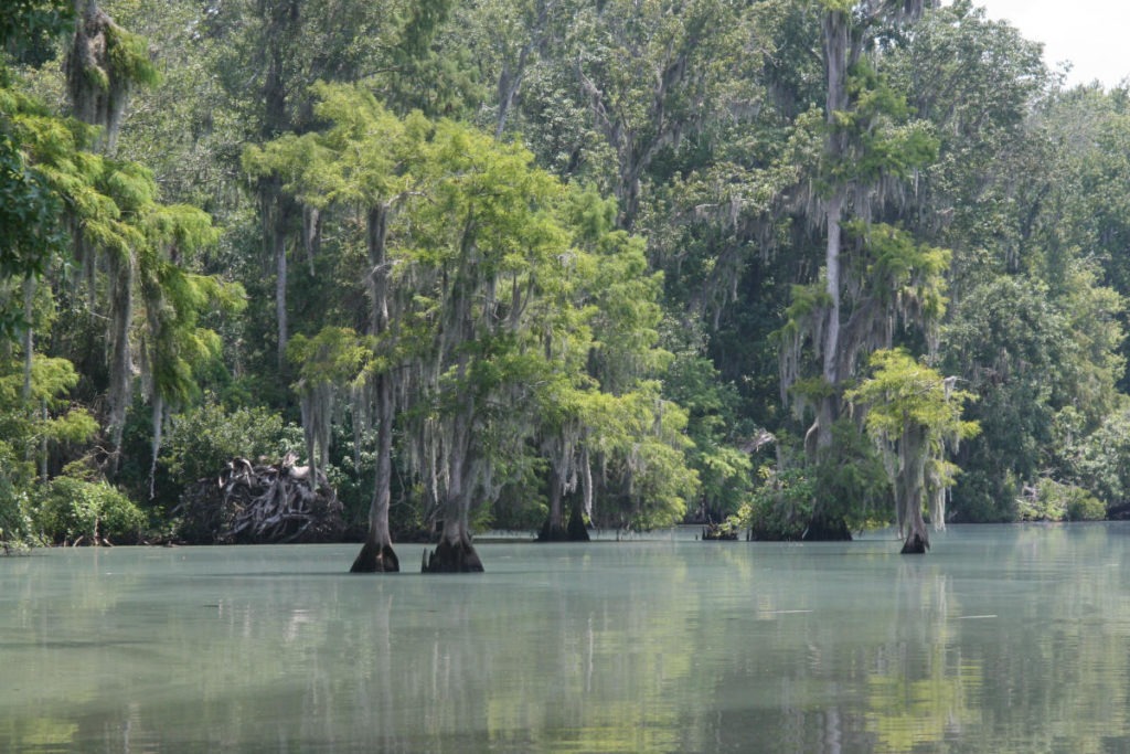 Shell Bluff Boat Ramp To Close 1 Week For Repairs Beginning December 4