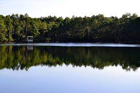pellicer creek