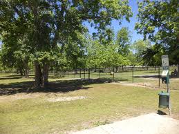 Small Dog Park in James F Holland Park, Palm Coast, to Close Temporarily for Adjustments