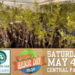City of Palm Coast Celebrates 19th Consecutive Tree City USA Honor and Invites Residents to Arbor Day Event this Weekend
