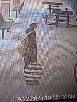 A person wearing a hat and carrying a backpack is standing in an outdoor area beside a large, striped bag Several benches and tables are visible in the background The timestamp indicates the date as // and the time as :: AM