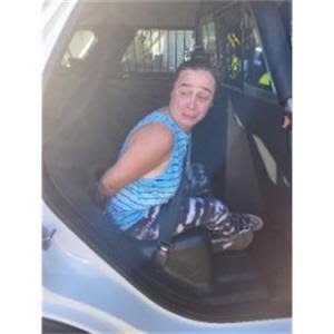 A person in a blue striped tank top sits in the back of a police car with their hands behind their back The car door is open, and sunlight is streaming in