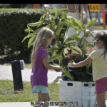 Two young girls stand outdoors next to a large leafy plant in a white crate, touching its leaves One girl wears a purple shirt and blue shorts, the other wears a yellow shirt and pink shorts It is sunny and green around them