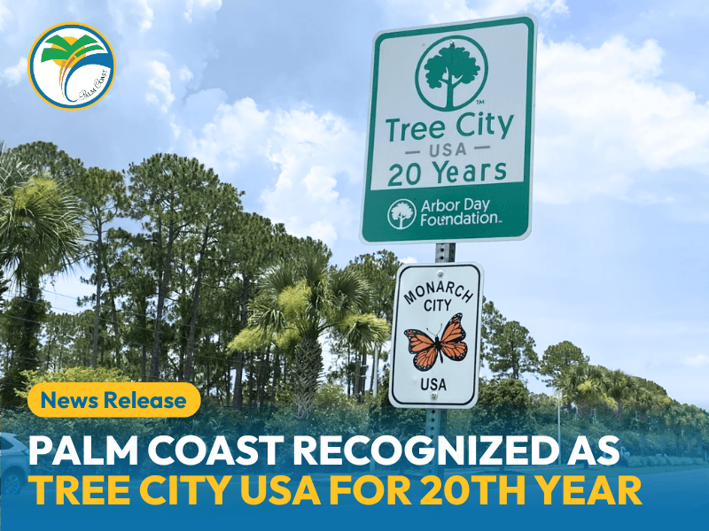 Palm Coast Recognized as Tree City USA for 20th Consecutive Year