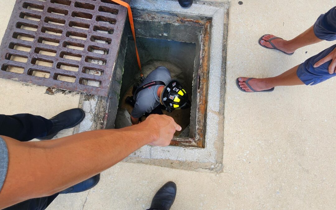FCFR turns into ‘Turtle Rescue’ Wednesday as it assists Flagler Turtle Patrol rescue 5 hatchlings