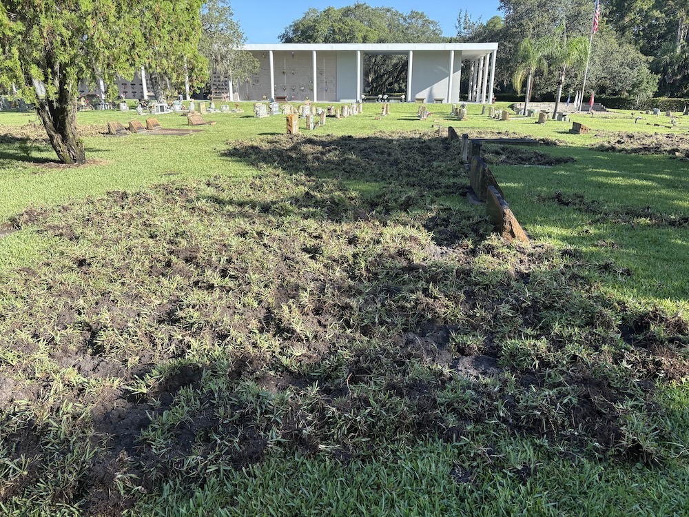 A cemetery lawn with patches of torn up grass and mud in the foreground Several gravestones are scattered around, and a white columbarium building stands in the background surrounded by trees