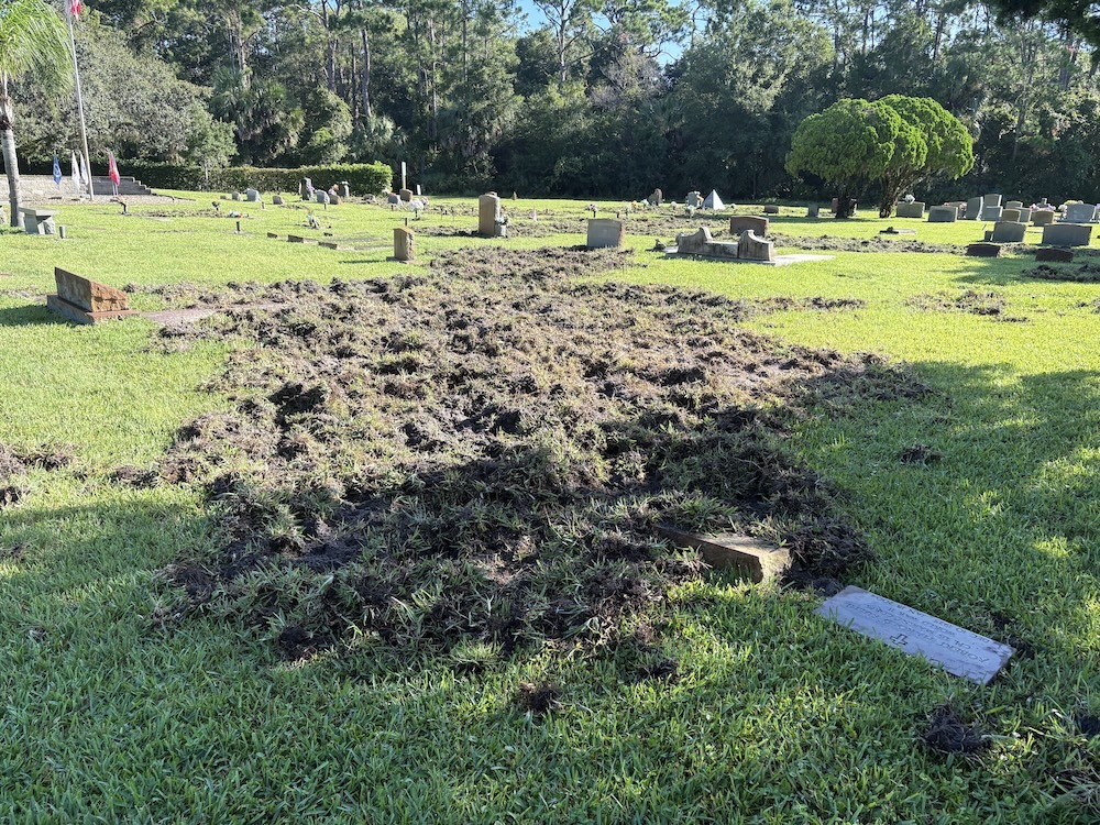 A cemetery with scattered headstones and a large area of disturbed, uprooted grass and soil in the foreground, suggesting recent damage to the ground Trees and greenery are visible in the background