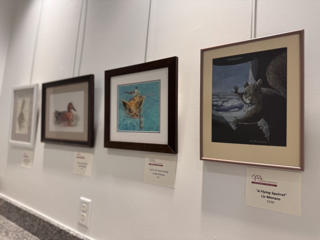 Four framed animal art pieces hang in a row on a white wall above a granite counter The rightmost artwork, titled "A Flying Squirrel," shows a squirrel looking out an airplane window Labels with artist names and prices are visible