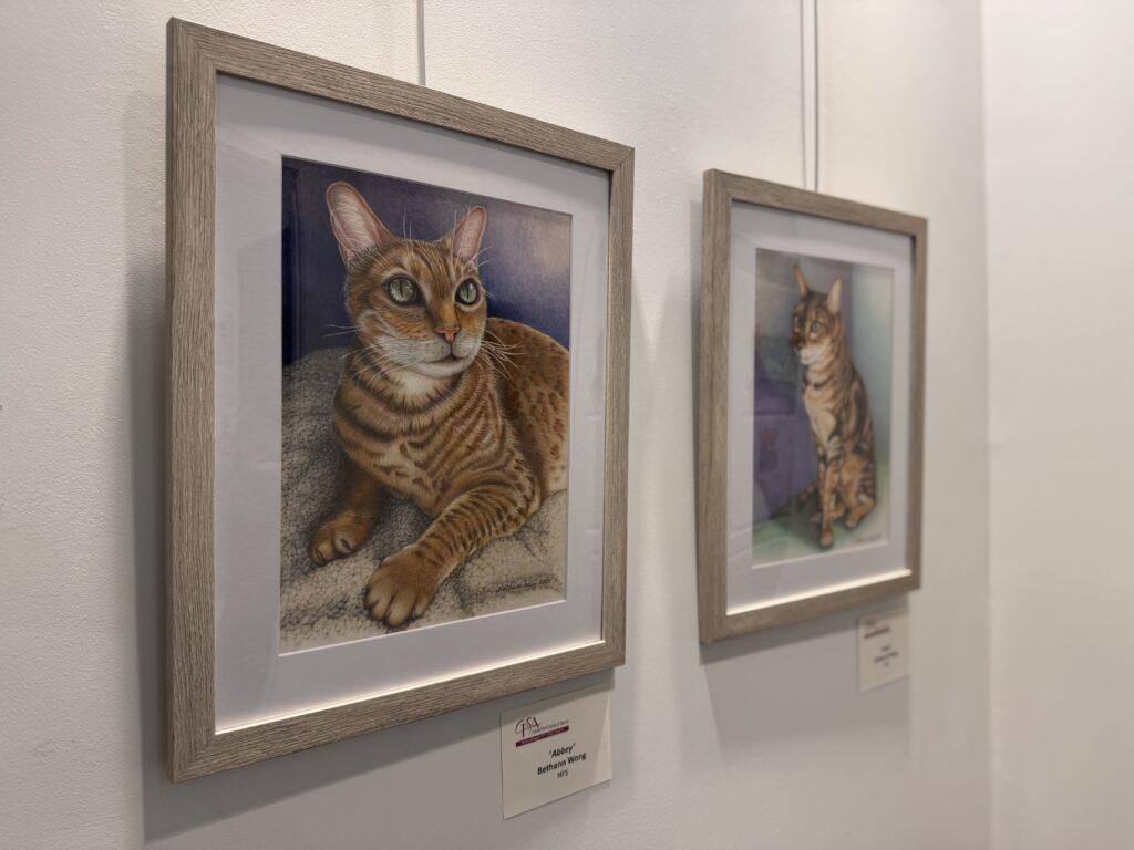 Two framed, realistic paintings of cats hang on a white wall in an art gallery Each portrait shows a brown, striped cat in a relaxed pose, and both artworks are displayed with nameplates underneath