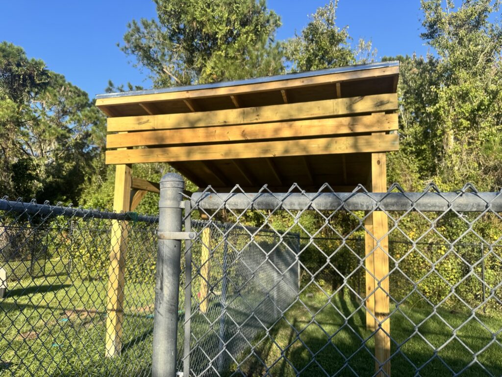 A wooden shelter with a slanted roof stands behind a metal chain link fence in a grassy yard, surrounded by trees and bushes under a clear blue sky