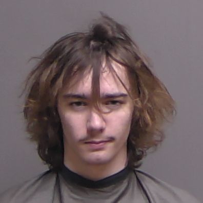 Palm Coast Teen Arrested on Felony Charges After Armed Robbery and Assault
