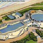 Aerial illustration of Marine Studios in Marineland, Florida, showing two large circular and rectangular pools, pathways, and green landscaping near the beach