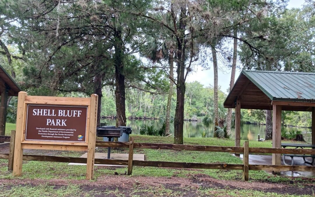 A wooden sign for Shell Bluff Park stands near a covered picnic area and grill, surrounded by tall trees and facing a calm river or lake in a lush, green setting