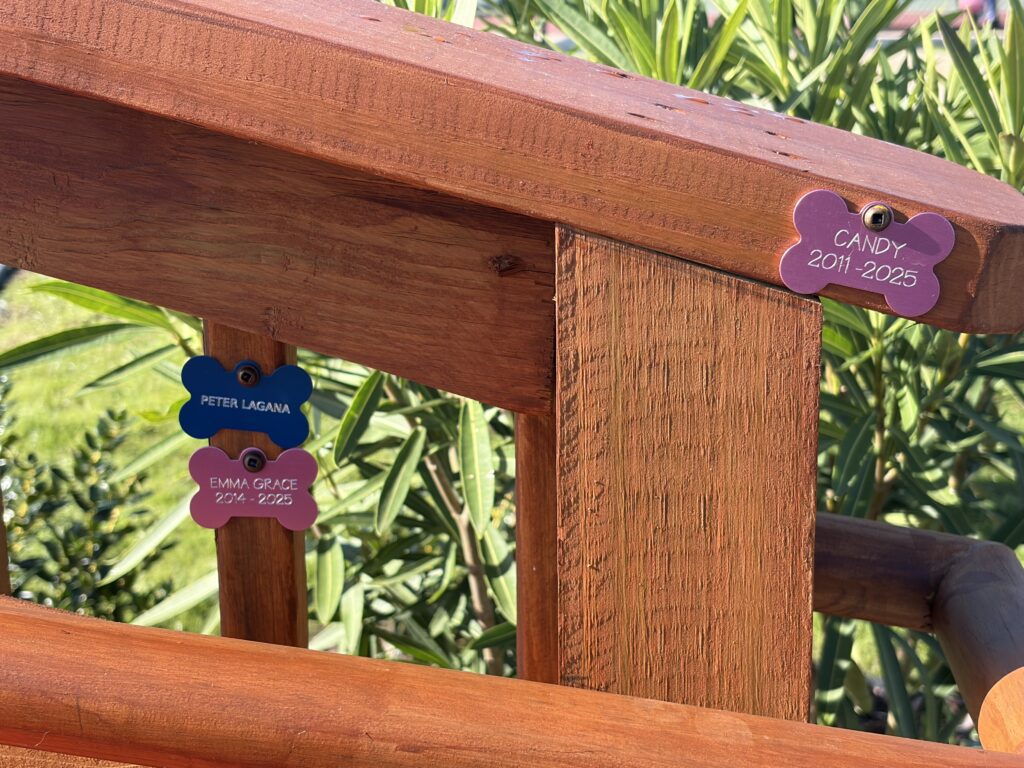 Three colorful bone shaped name tags, each with engraved names and years, are attached to a wooden rail outdoors Green leafy plants can be seen in the background