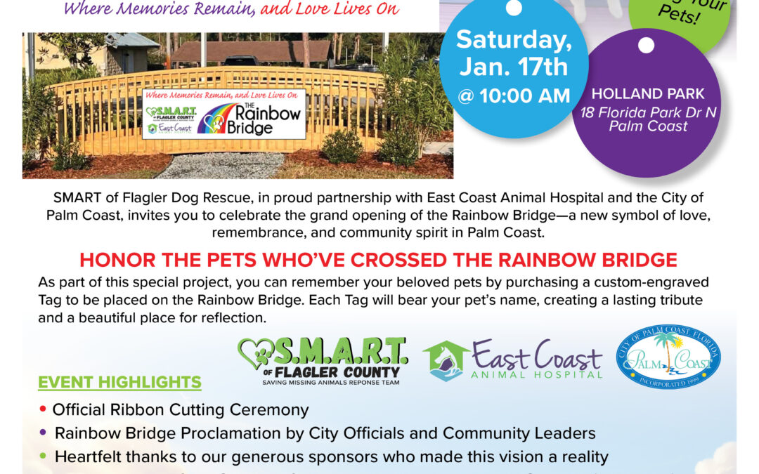 Palm Coast Unveils Permanent Pet Memorial at Holland Park