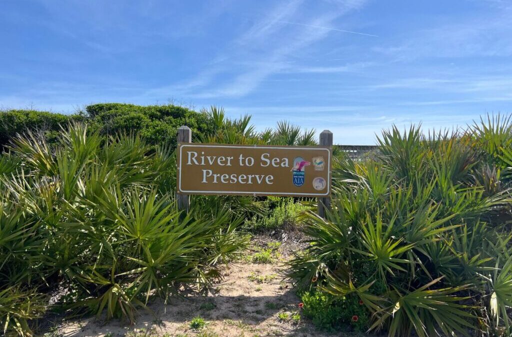 A brown sign reading "River to Sea Preserve" stands among green palmetto plants under a clear blue sky with some light clouds