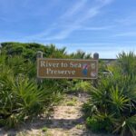 A brown sign reading "River to Sea Preserve" stands among green palmetto plants under a clear blue sky with some light clouds