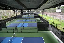 Luck of the Pickle Pickleball Tournament Returns to Palm Coast in March