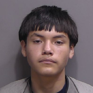 Teen Convicted as Adult for Armed Burglaries Across Western Flagler County, Sentenced to Five Years in Prison