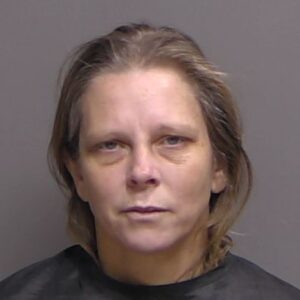 A woman with light skin and straight brown hair looks at the camera with a neutral expression, against a plain gray background She is wearing a dark top