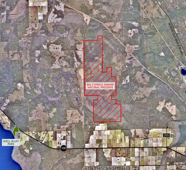 Satellite map showing a large outlined and hatched area labeled “Big Cypress Swamp Natural Preserve” north of Daytona North, with roads, park locations, and farmland visible