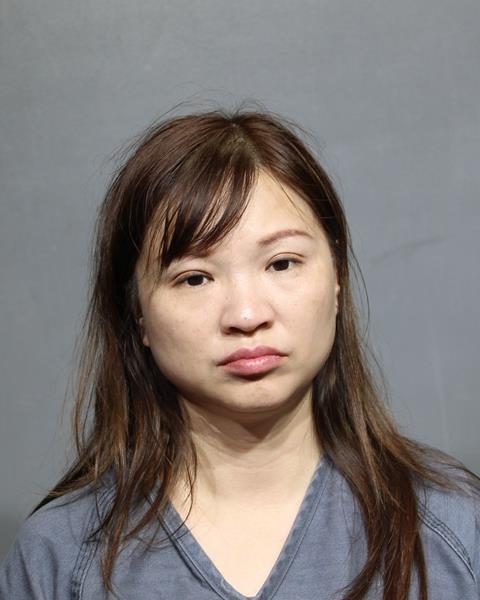 Staten Island Woman Arrested for Flagler County Credit Card Fraud After Jacksonville Detectives Connect Cases