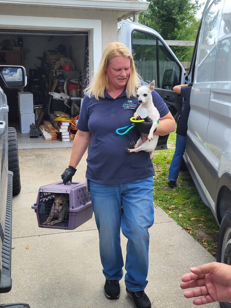 A woman in a navy polo and jeans carries a small white dog and a purple pet carrier with another animal inside, walking outdoors near vehicles and a garage filled with various items A woman in a navy polo and jeans carries a small white dog and a purple pet carrier with another animal inside, walking outdoors near vehicles and a garage filled with various items