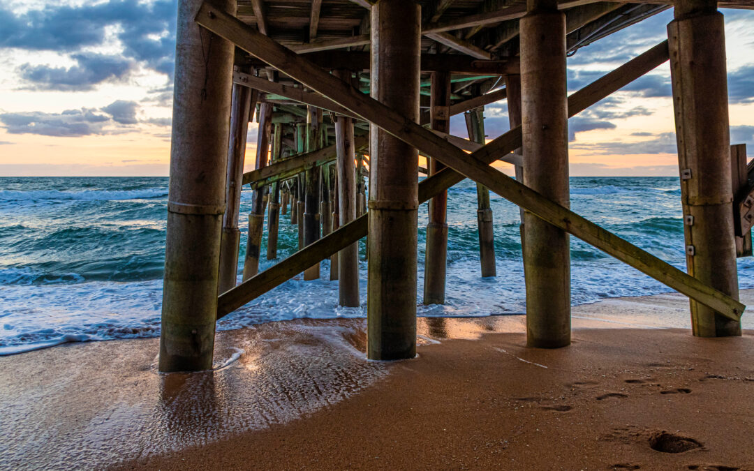 Flagler Schools Earns Prestigious Guy Harvey Conservation District Designation for Ocean Education