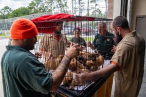 Several incarcerated individuals and law enforcement officers gather around a metal crate filled with puppies outside a building at a fenced facility, interacting with and petting the dogs