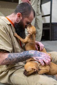 A tattooed man in prison uniform sits on the floor, gently touching foreheads with a small brown puppy while holding another puppy in his lap Both puppies appear relaxed and affectionate