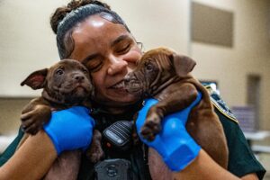 A smiling person in a uniform holds two brown puppies, one in each gloved hand, while indoors The puppies look toward the camera as the person happily cuddles them close