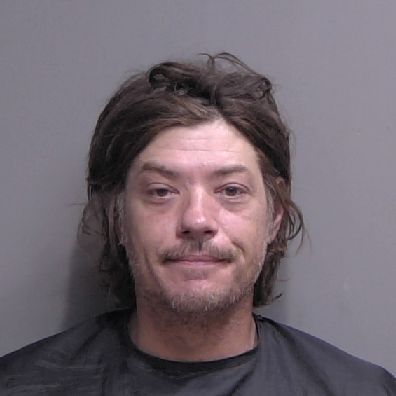 Bunnell Man Arrested After Starving Horse