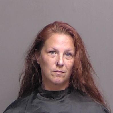 Palm Coast Animal Control Officer Arrested for Using City Credit Card to Pay Personal Vet Bill